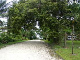 Tree-lined street in San Ignacio, Belize – Best Places In The World To Retire – International Living